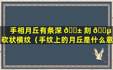 手相月丘有条深 🐱 刻 🌵 刀砍状横纹（手纹上的月丘是什么意思）